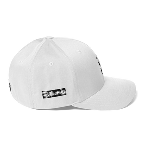 Roll up Dad Hat